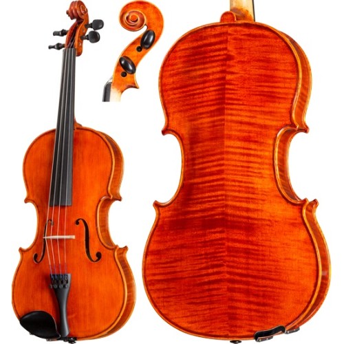 Fleetwood Viola 12 Month Introductory Rental